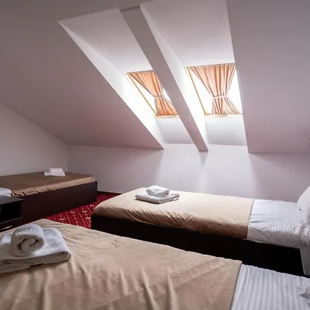 Hotel Si Restaurant Noe Timişoara